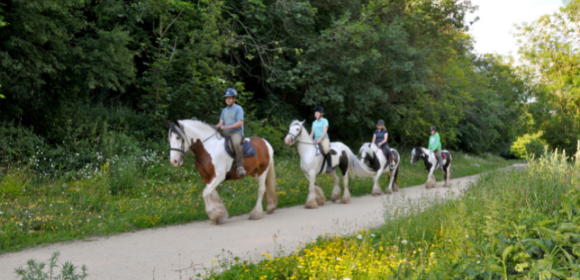 Adult Intensive Break Sherwood Forest